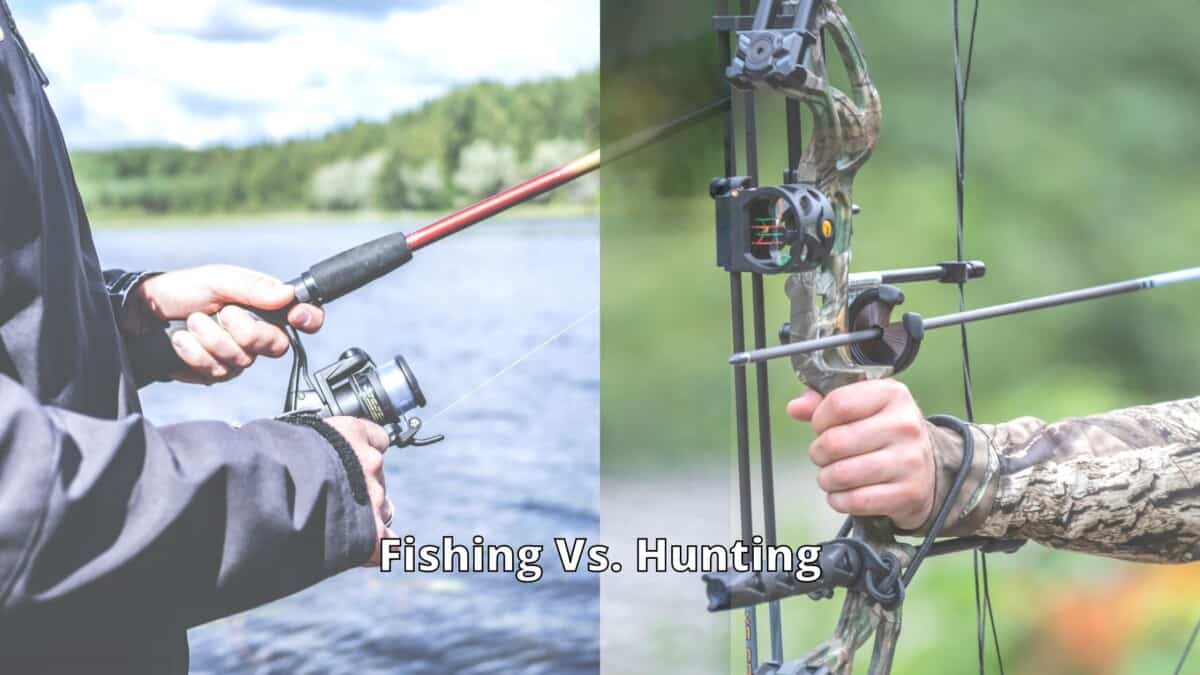 Fishing vs Hunting