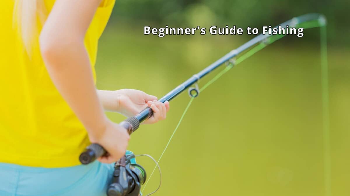 Guide to Fishing