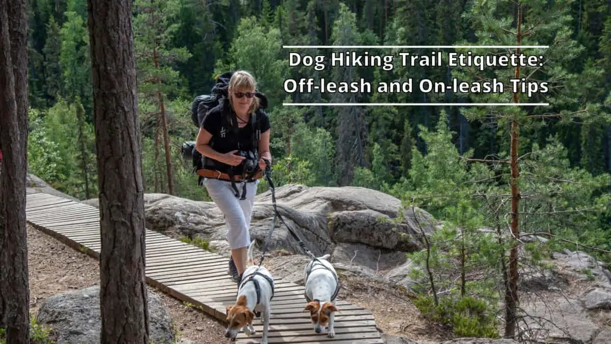 Dog Hiking Trail Etiquette