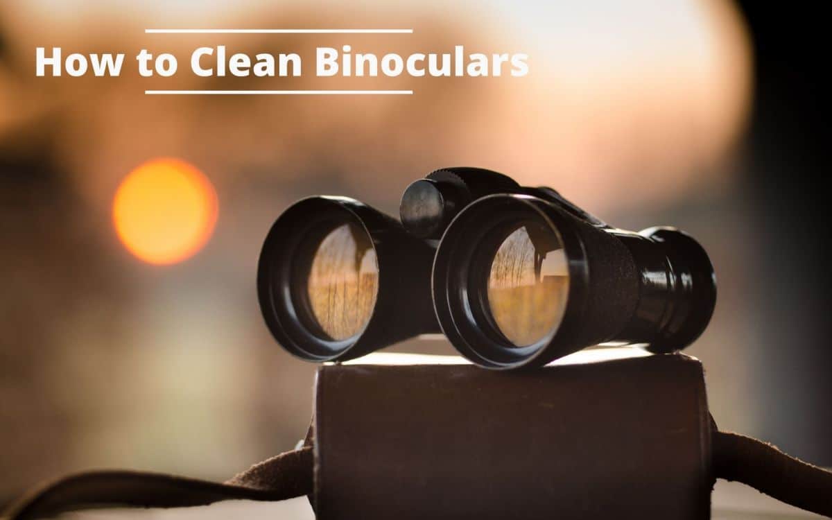 Clean binoculars