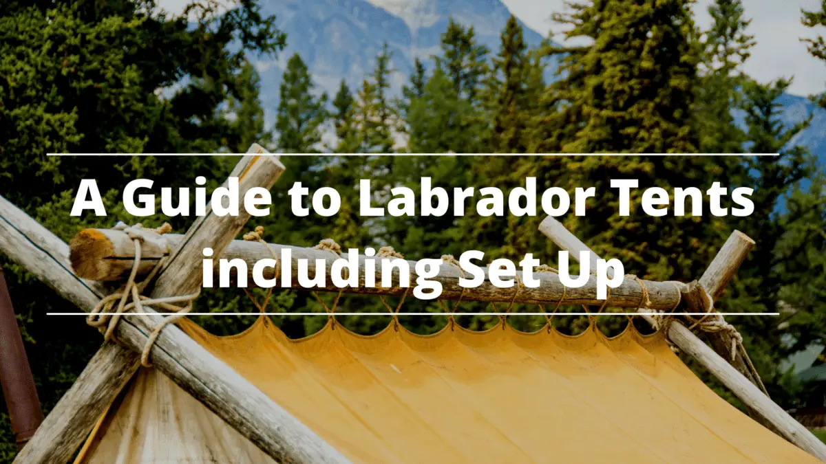 A Guide To Labrador Tents including Set Up