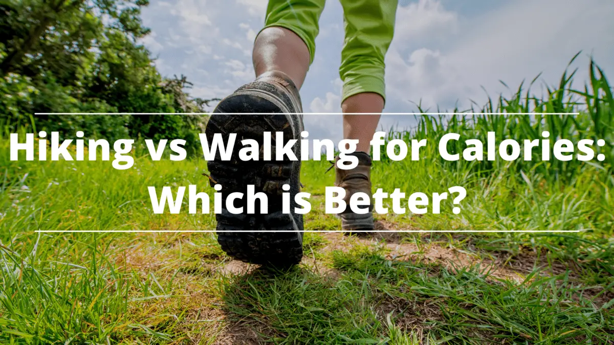 Hiking vs Walking for Calories Which is Better